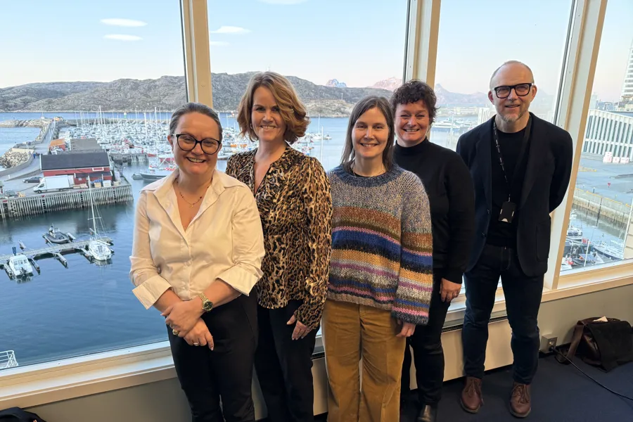 Komiteen bak workshopen