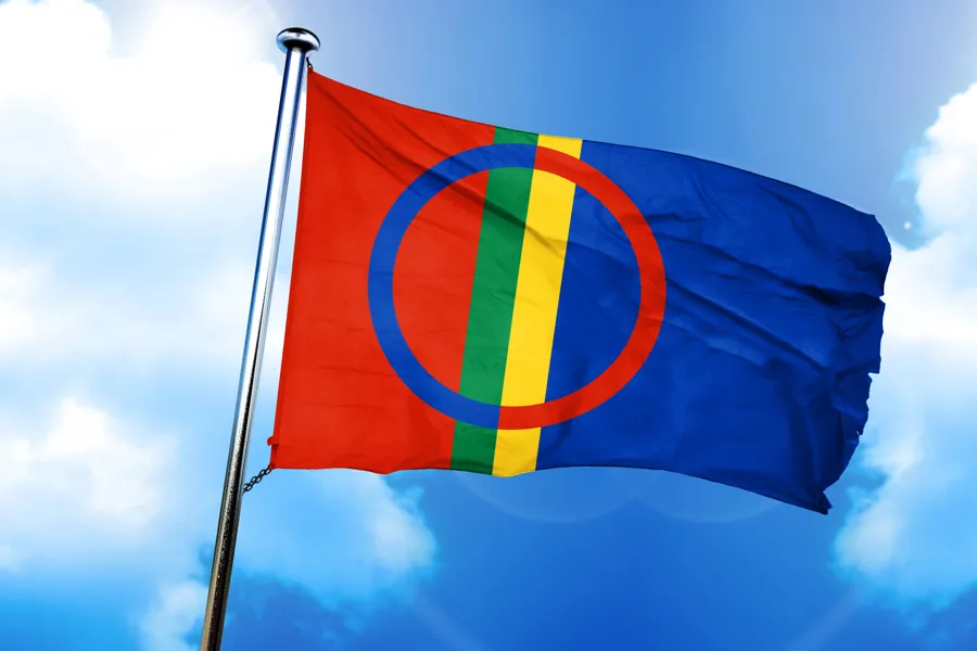 Et flagg på en stang