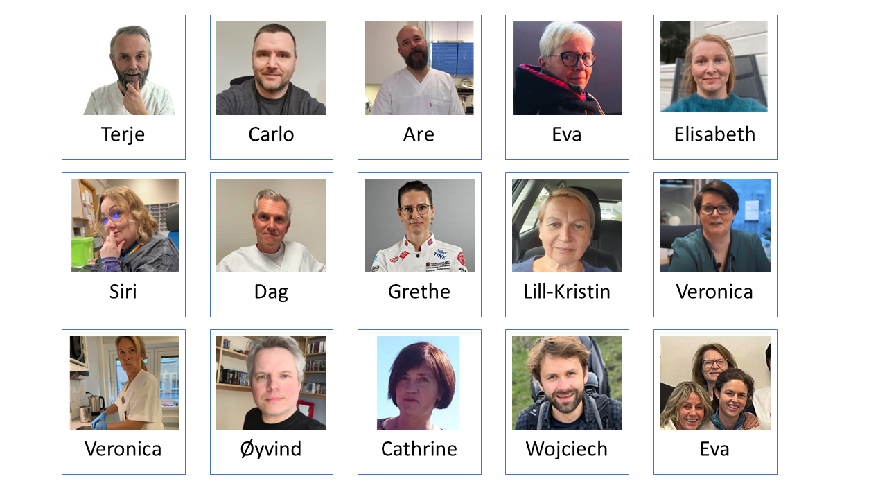 Portrettbilder av ansatte i helseforetak