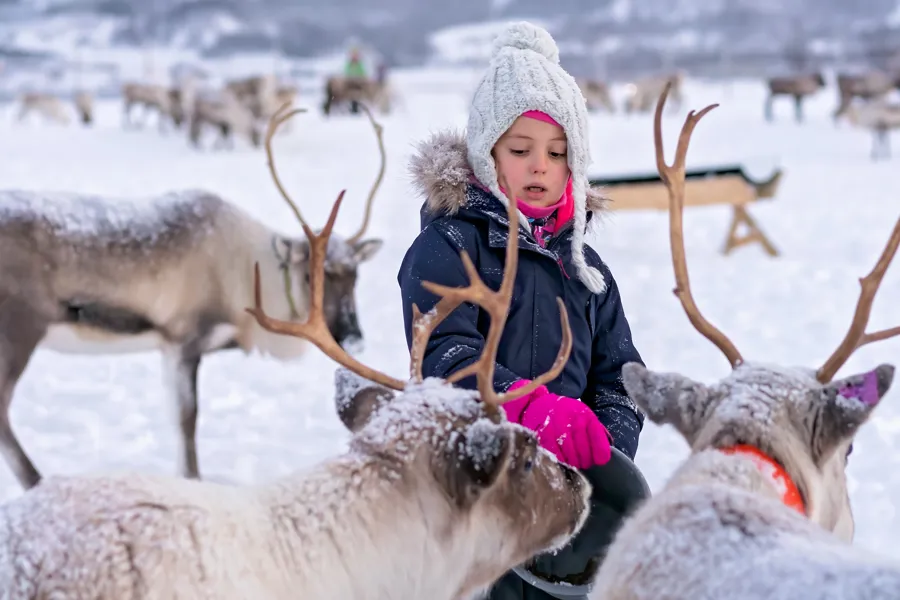 A child with reindeer