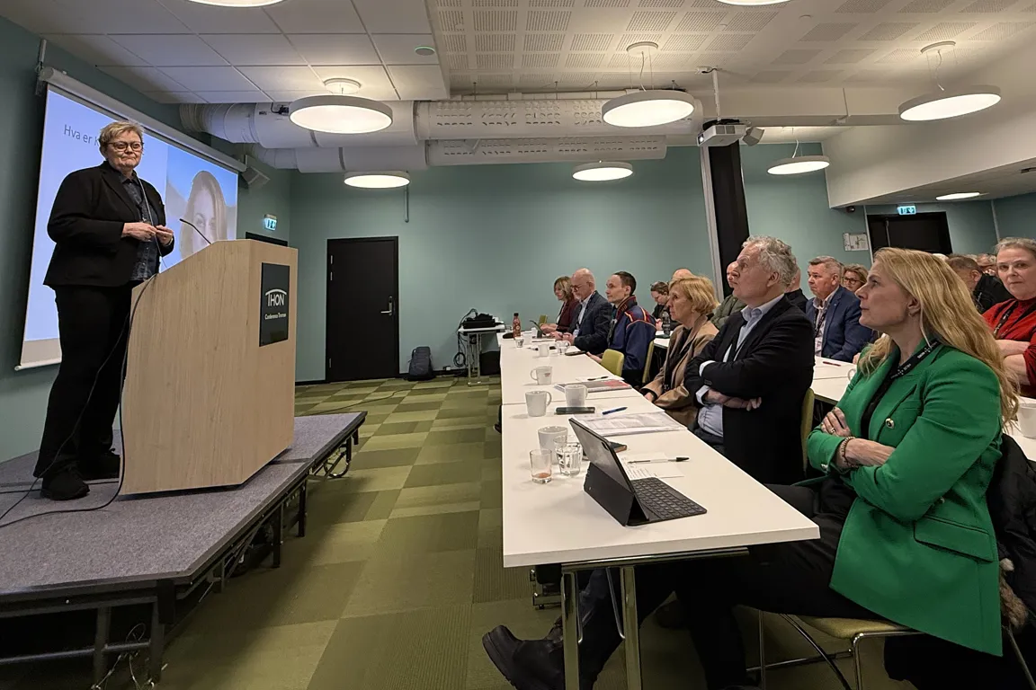 En person som holder en presentasjon for et publikum