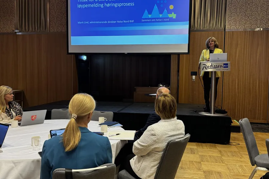 En person som holder en presentasjon