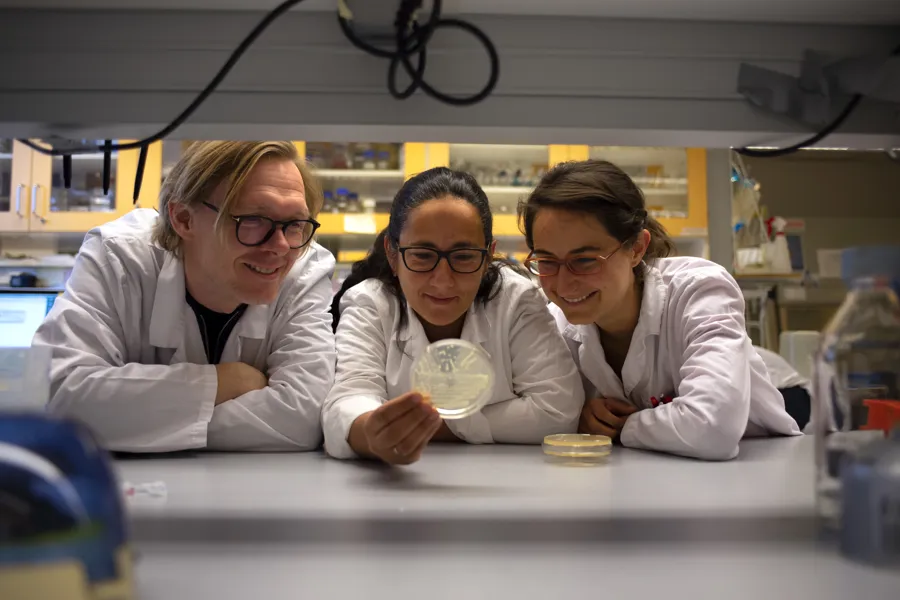 Forskerkollegene Pål Jarle Johnsen, Elizabeth Aarag Fredheim og Julia Maria Kloos ved UiT Norges arktiske universitet.