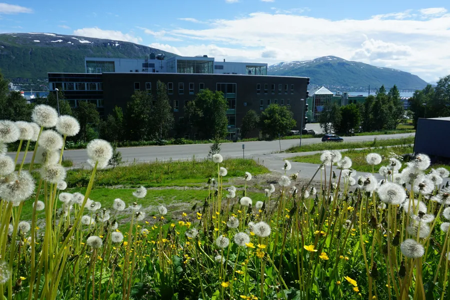 Forskningsparken i Tromsø, Siva-bygget, SKDEs lokaler