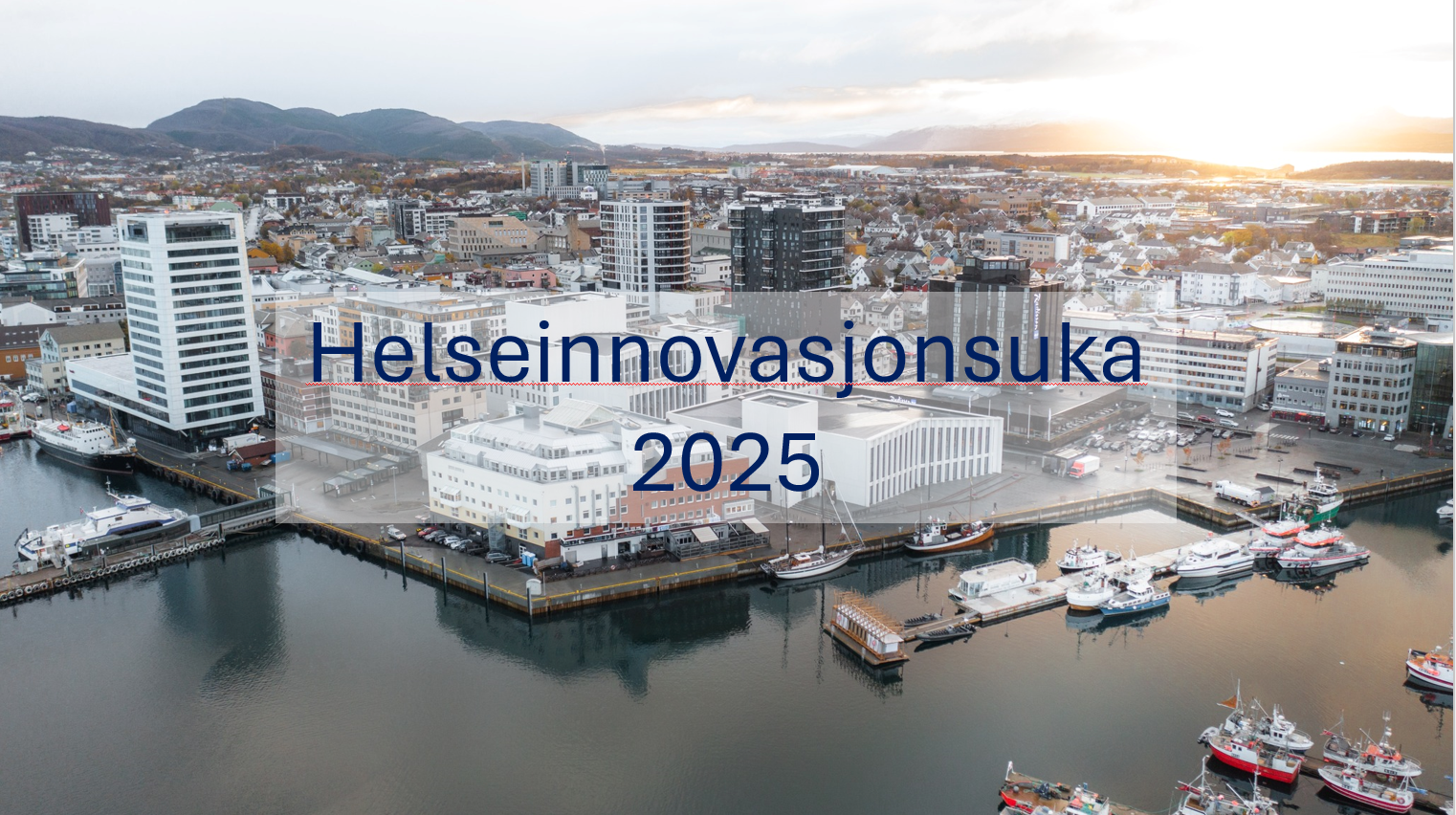 En by med mange båter