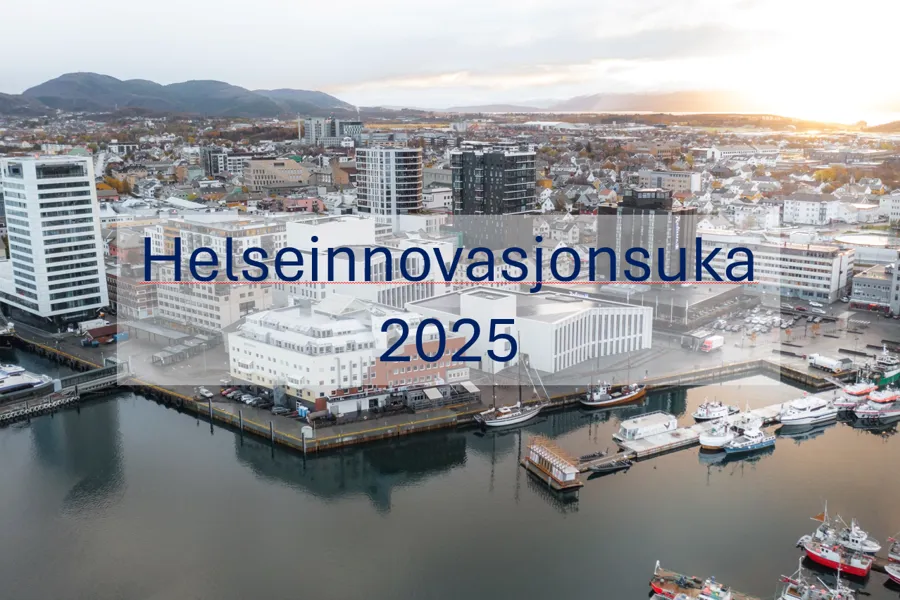 En by med mange båter