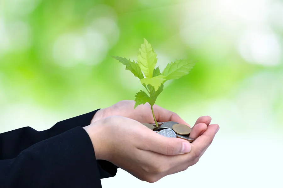 En person som holder en plante