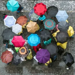 En gruppe paraplyer er plassert på bakken