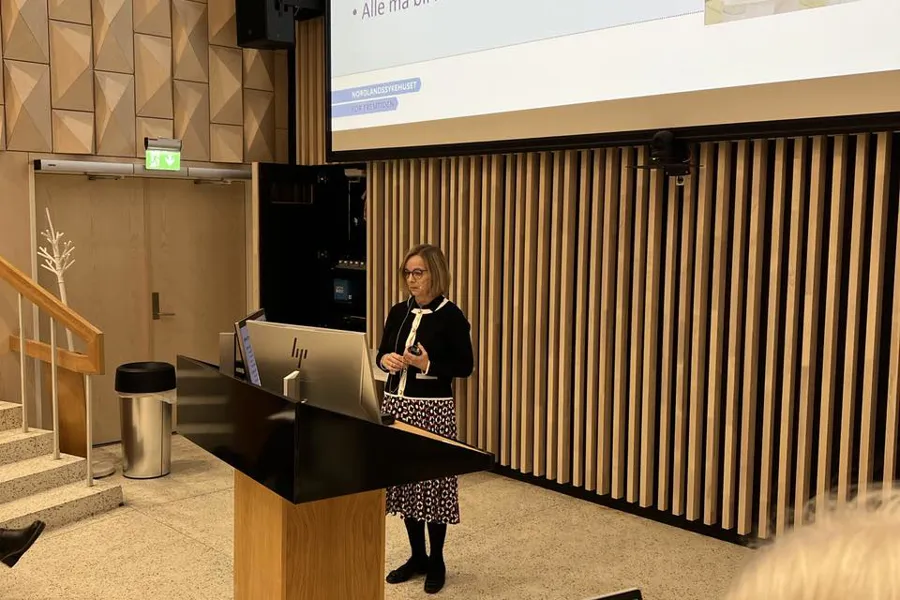 En person som holder en presentasjon