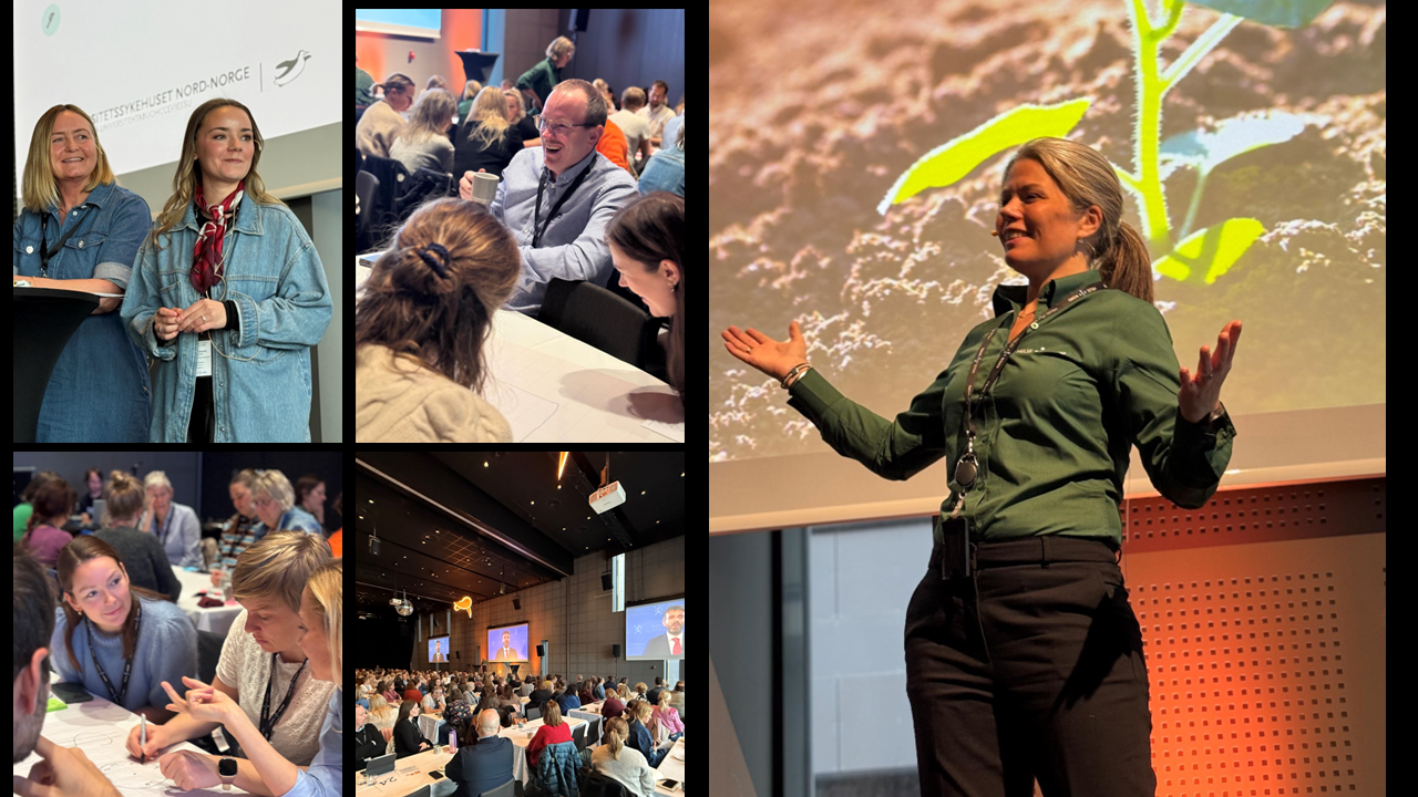 En collage av en person