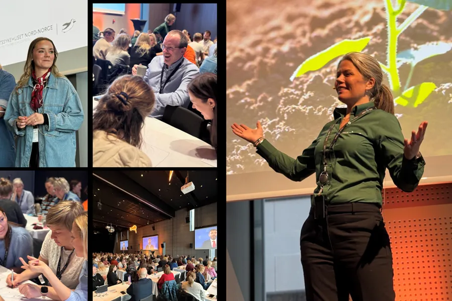 En collage av en person