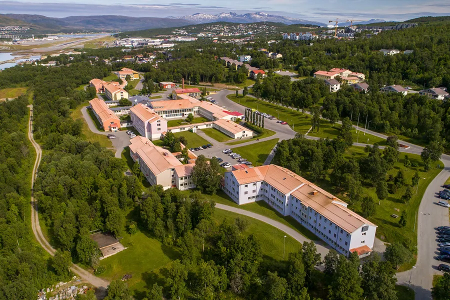 En stor bygning omgitt av trær